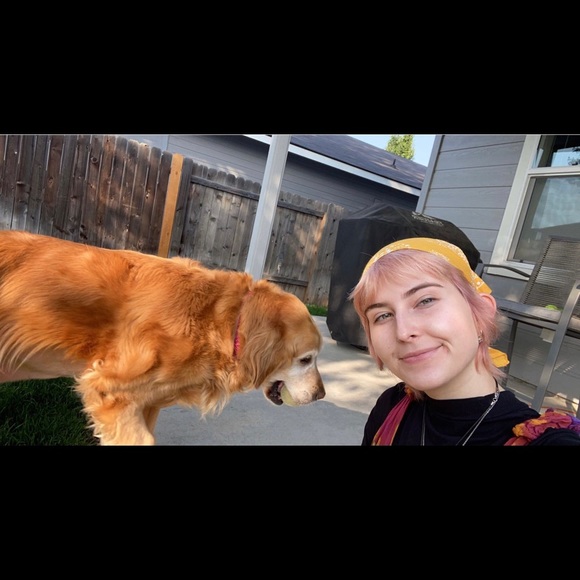 Meet your Posher, Finley - Picture 1 of 1